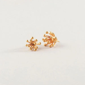 Aretes Dalia Embutidos