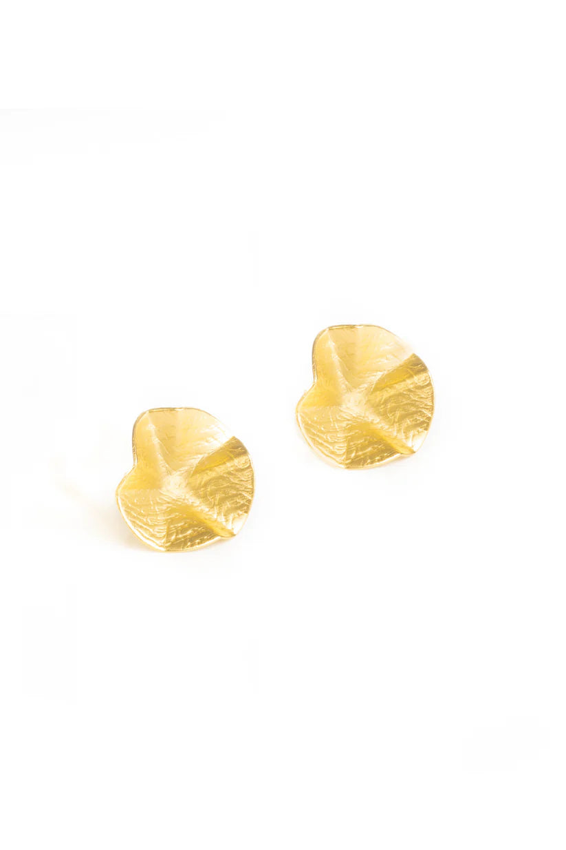 Topos Cocoon