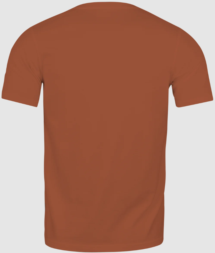 Camiseta Camel