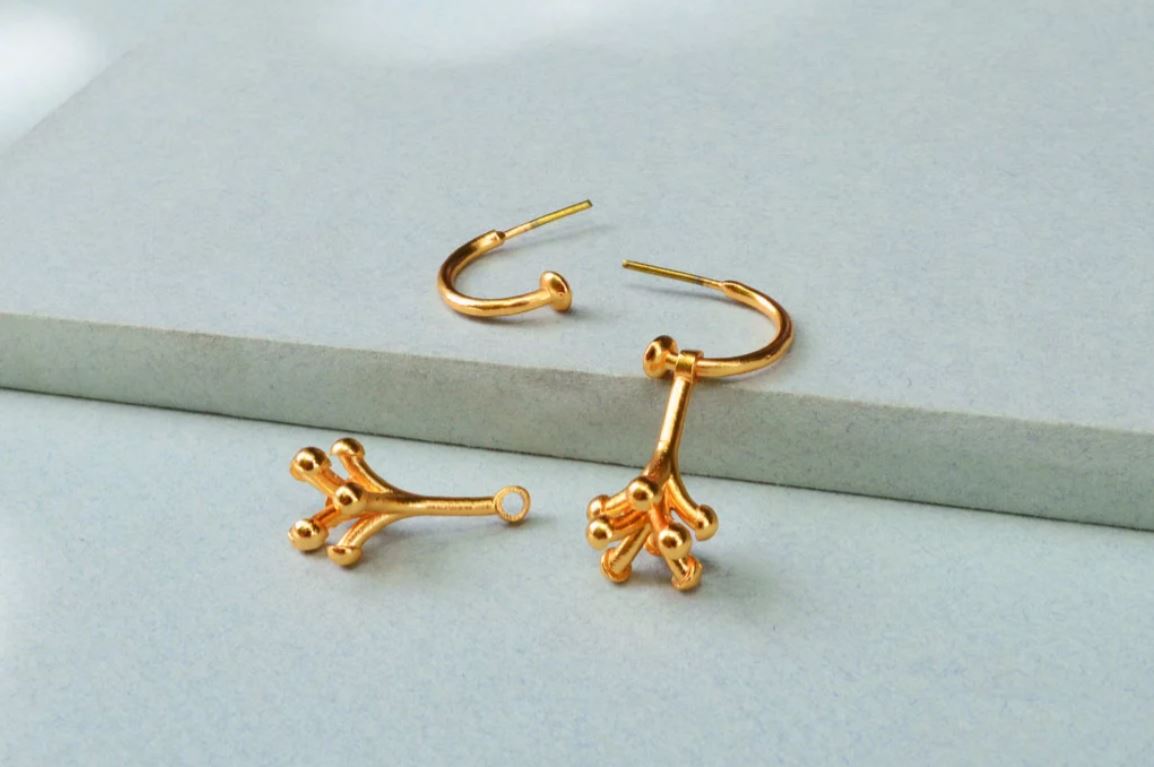 Aretes Fruta De La Pasión