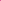 Camiseta Fucsia