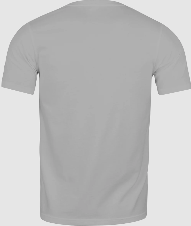 Camiseta Gris