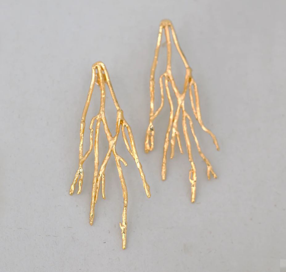 Aretes Arraigados