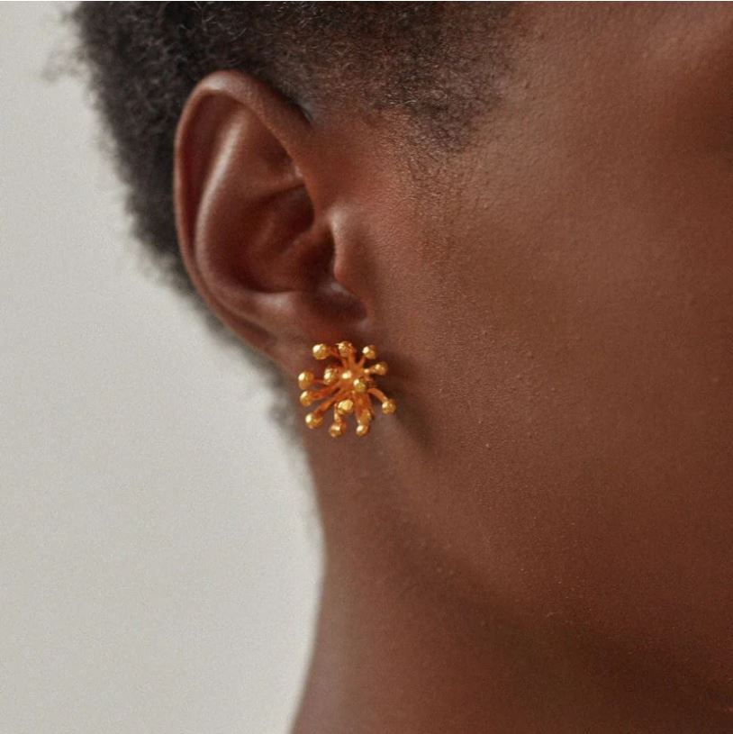 Aretes Dalia Embutidos
