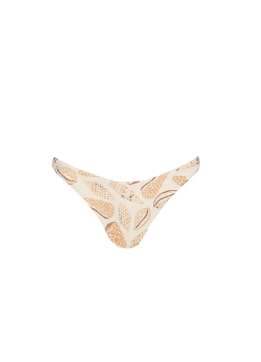 Top Fer & Bottom Carmen Shell Tides