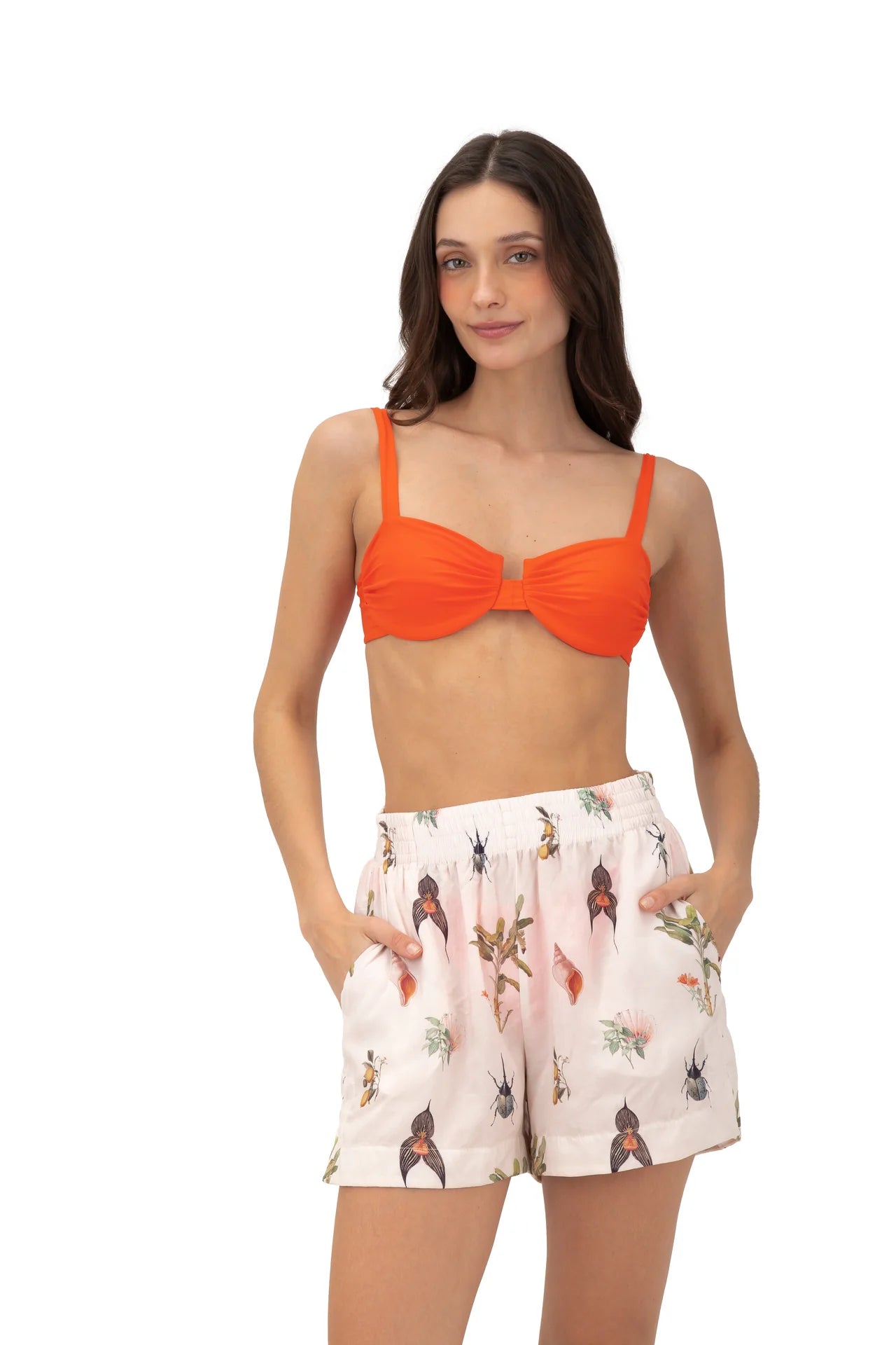 Short Blush Breeze Banana Tree