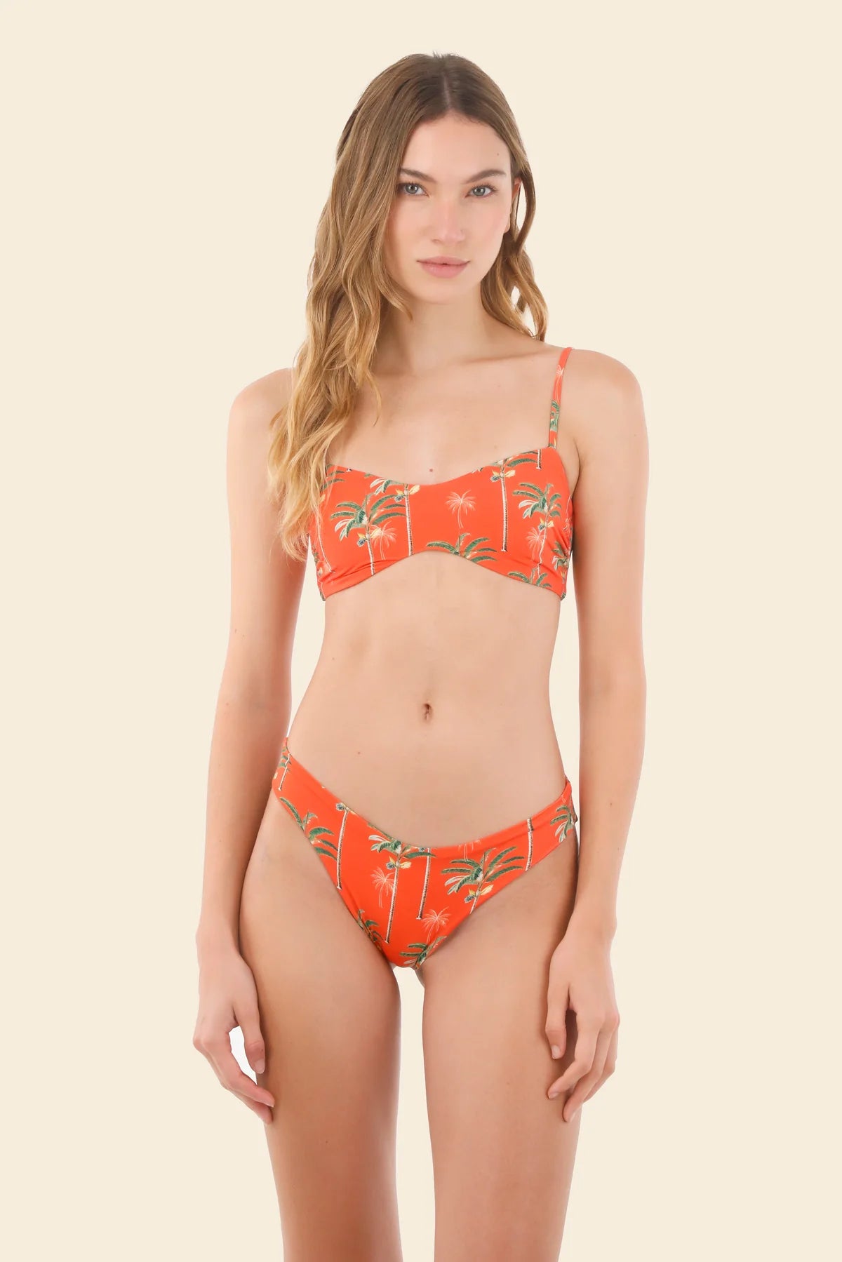 Halo Top & Classy Bottom Summer Palms