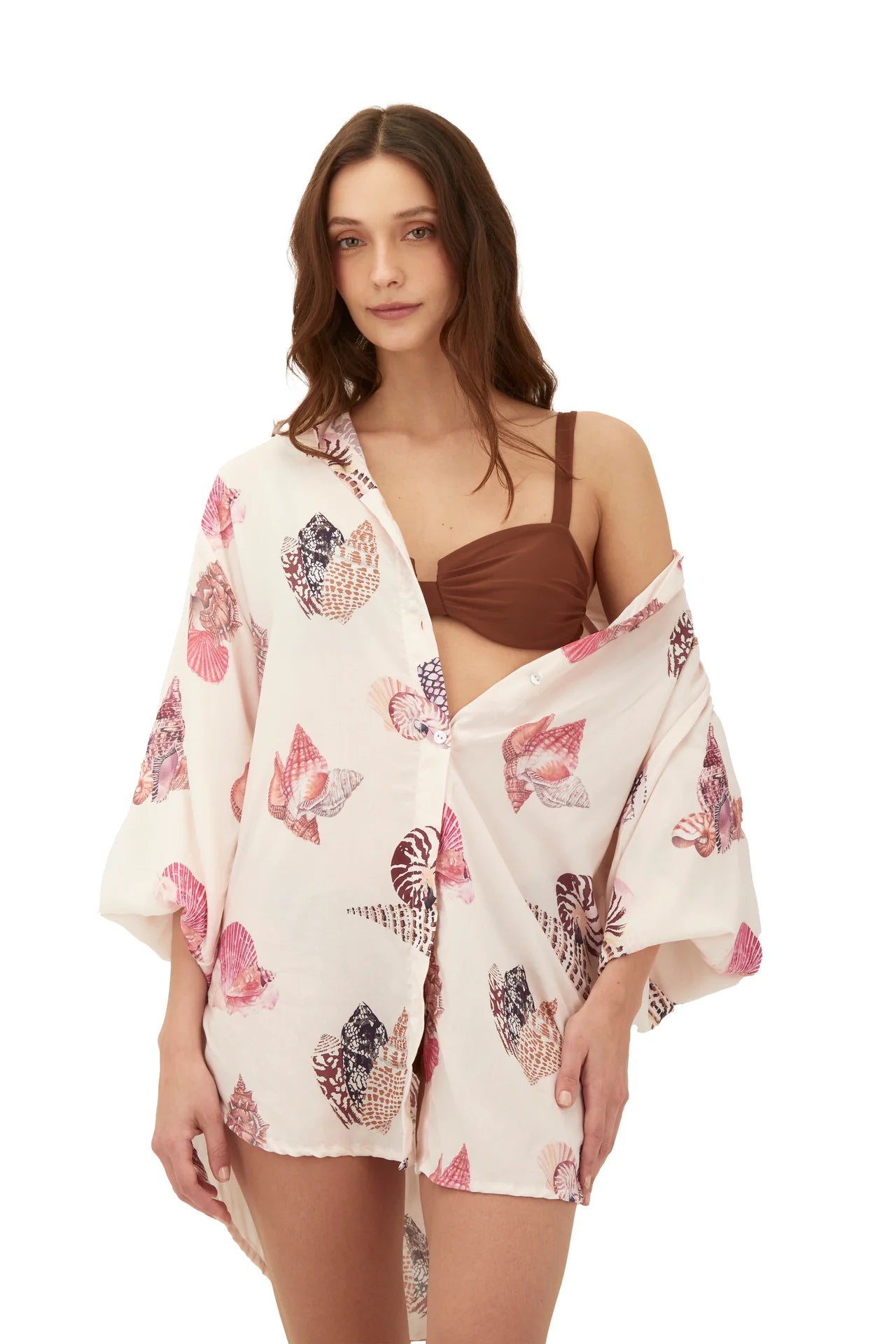 Shir Akumal Seashell