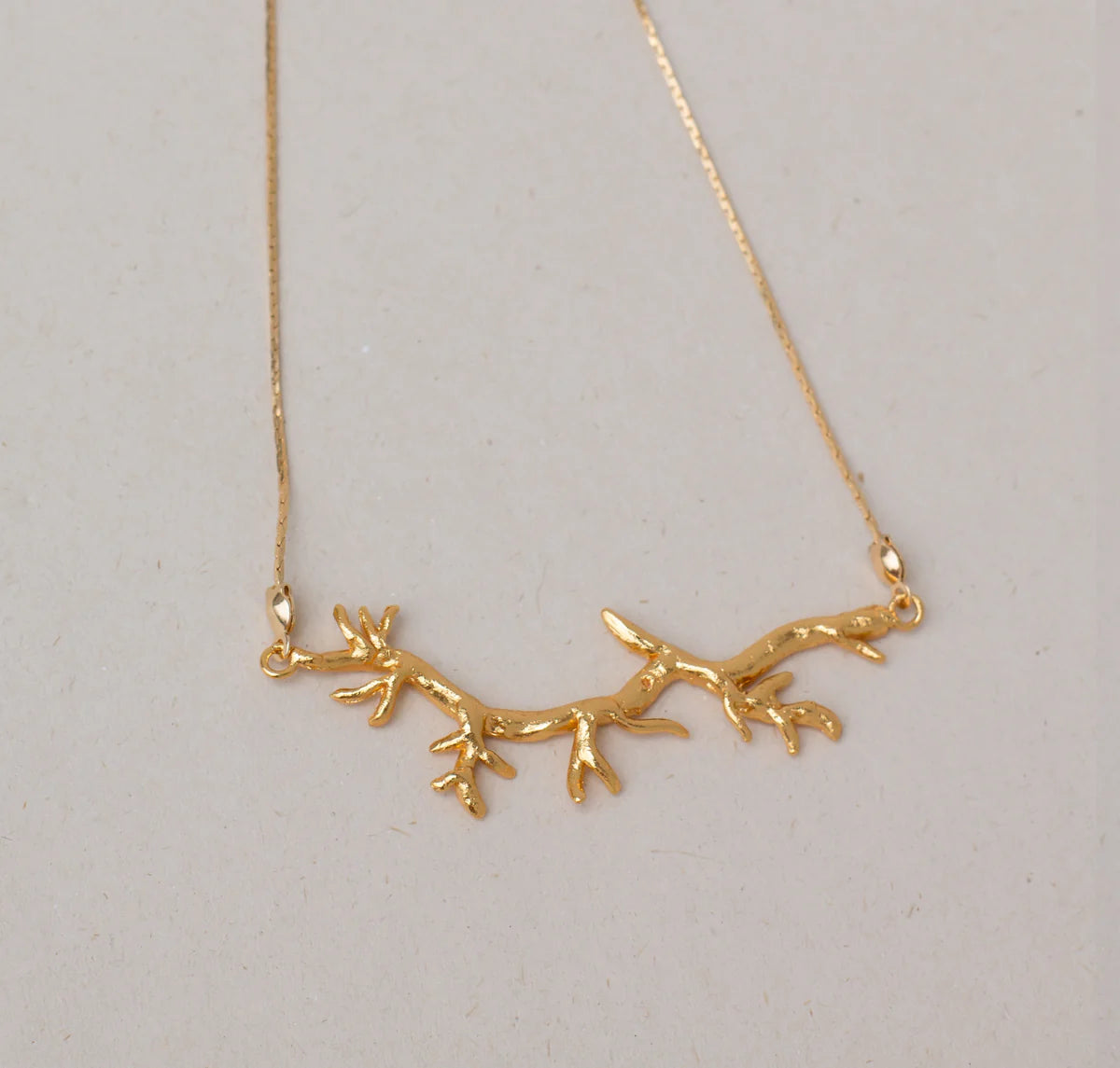 Collar Chamizo