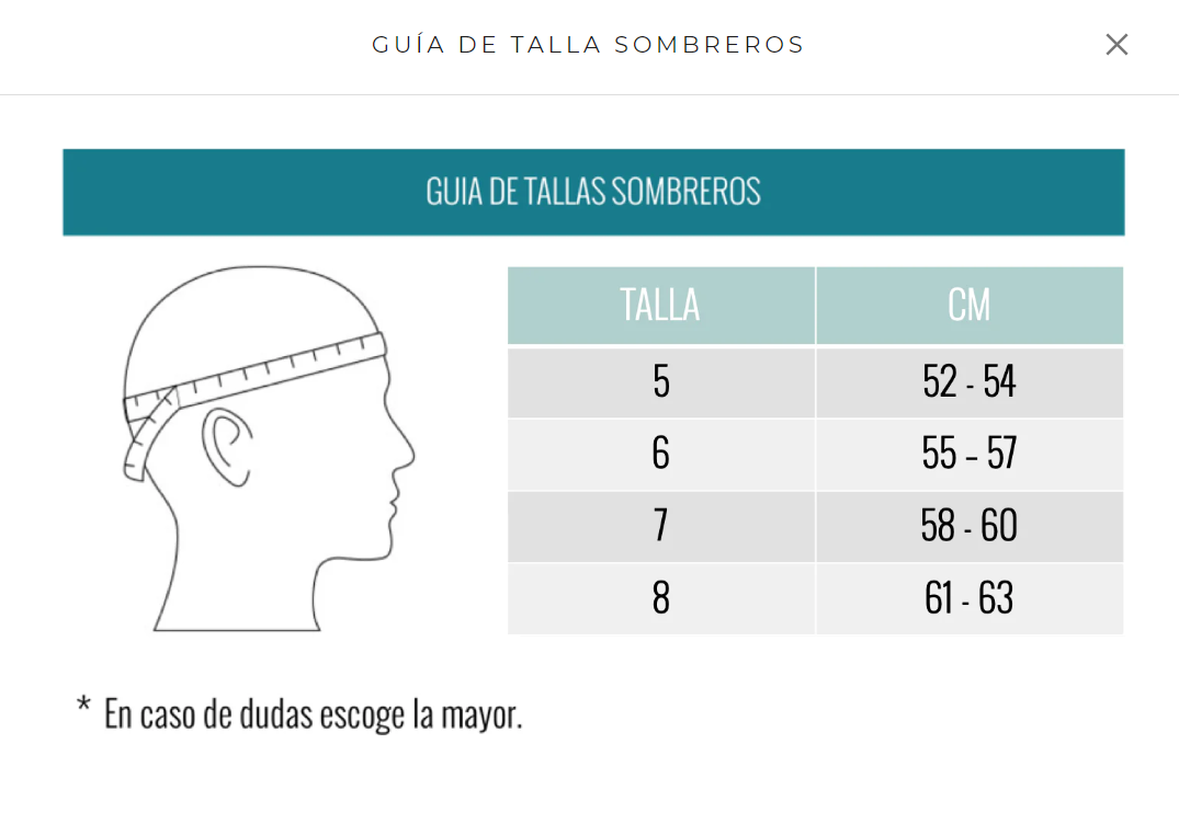 Sombrero Oscuro Cinta Ancha Gris Claro