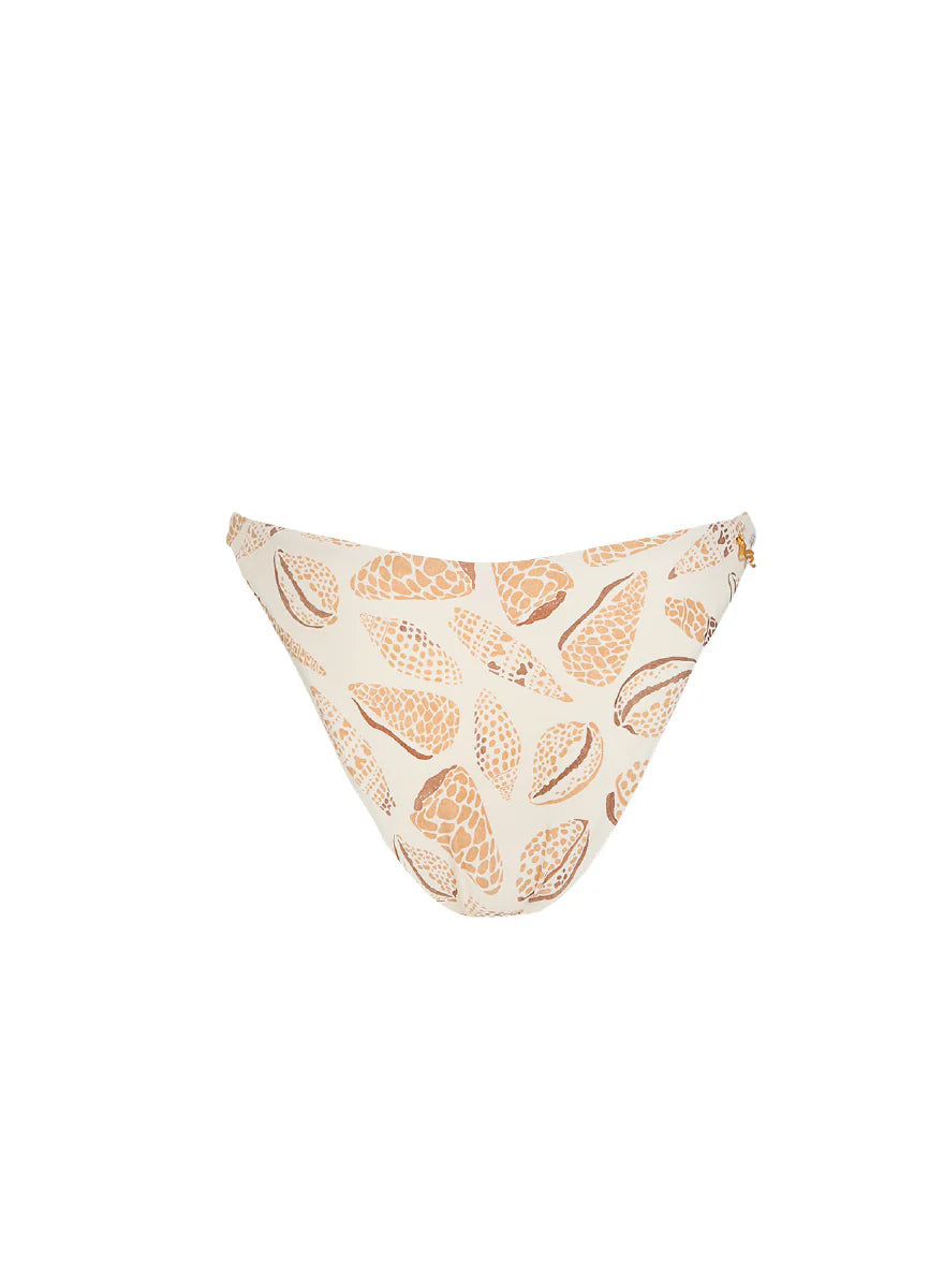 Top Fer & Bottom Carmen Shell Tides