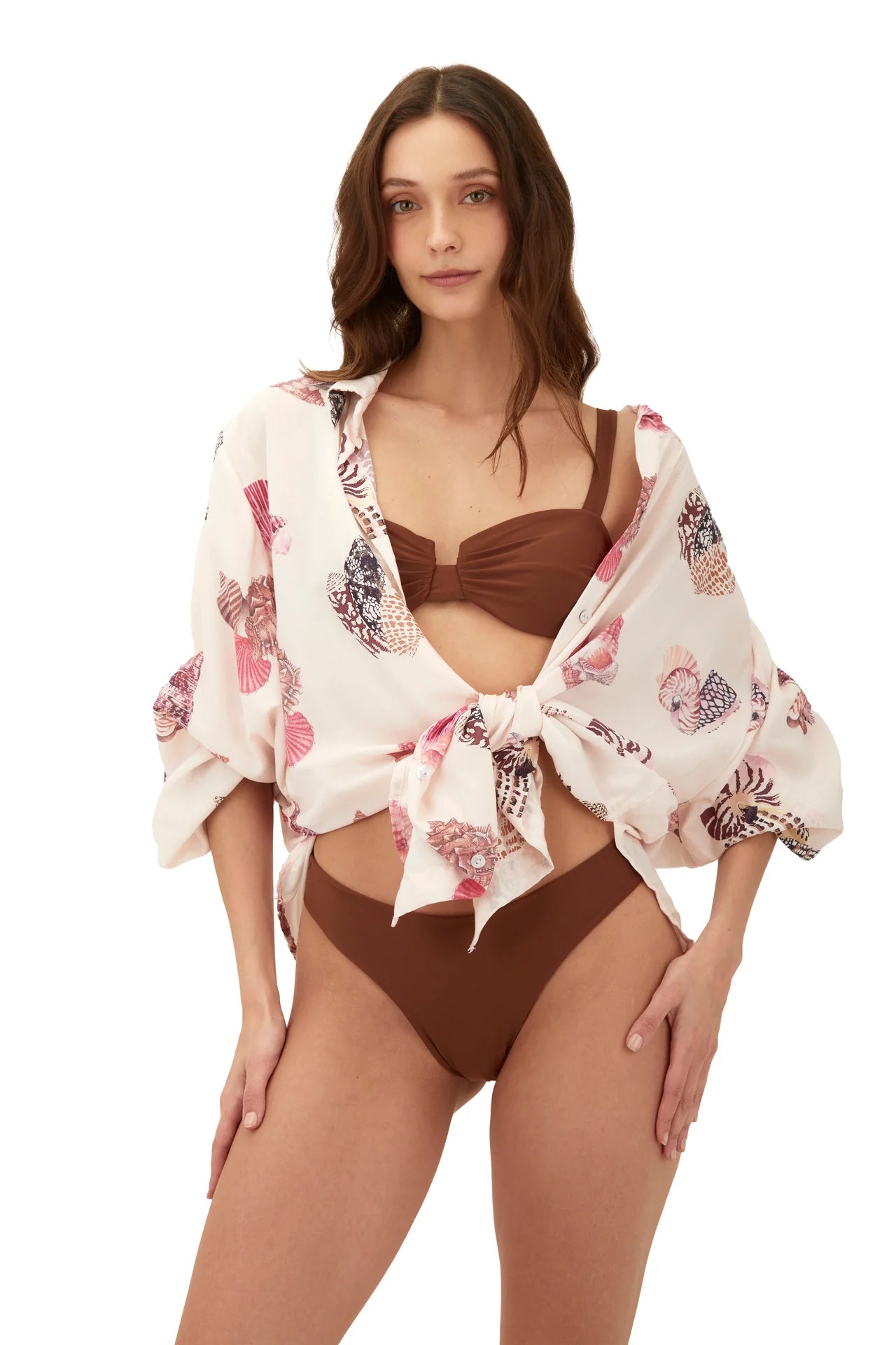 Shir Akumal Seashell