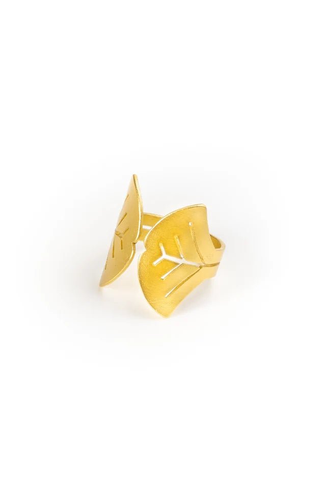 Anillo Aina