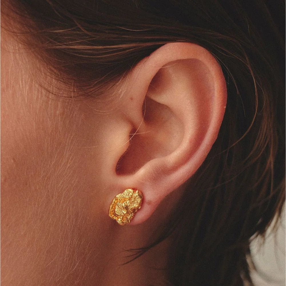 Aretes Elena