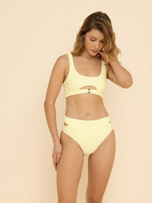 Gerbera Top & Loto Bottom Melted Light Texturizado